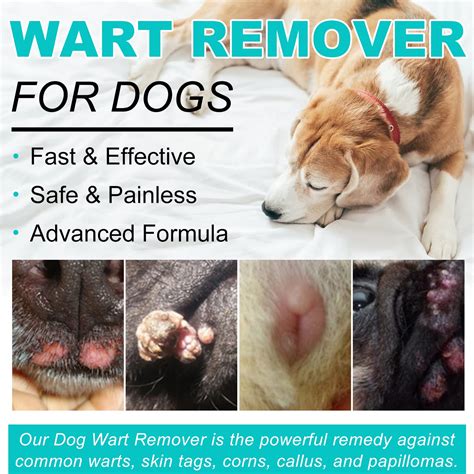 Dog Wart Vs Skin Tag: Vet-Reviewed Differences Explained, 51% OFF