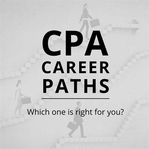 CPA Career Paths: Which one is right for you? | Career path, Job security, Interview skills