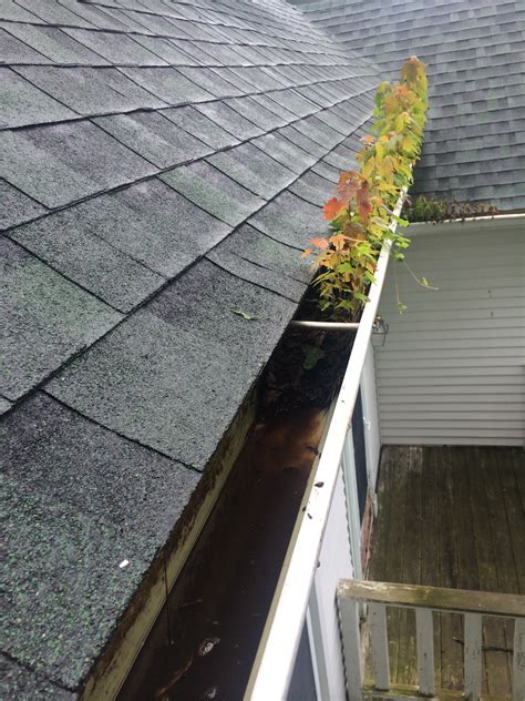 Gutter Cleaning – Anew Contractors