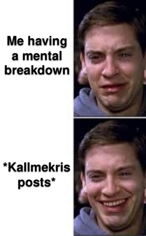 Kallmekris videos fix everything 😌👍 : r/kallmekris