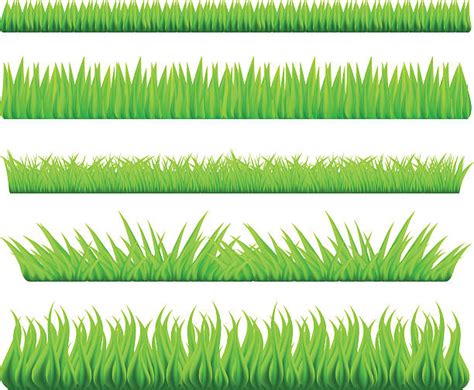 Grass Texture Clip Art Illustrations, Royalty-Free Vector Graphics & Clip Art - iStock