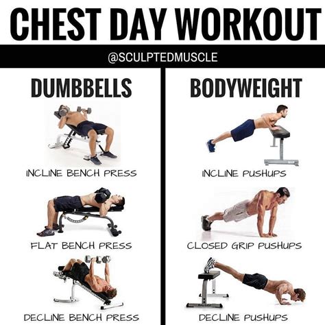 5 Day Best Chest Workout At Home With Dumbbells for Weight Loss | Fitness and Workout ABS Tutorial