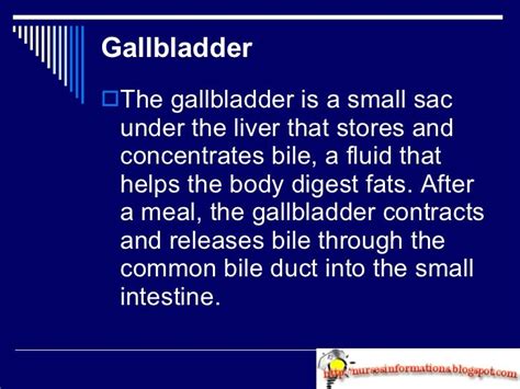 No Fat Diet For Abdominal Ultrasound Pictures - choicetoday