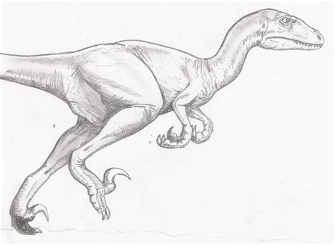 Raptor Dinosaur Drawing at GetDrawings | Free download