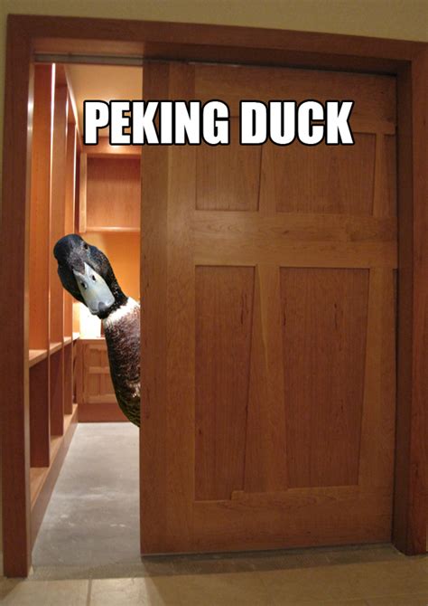 Peking Duck by CadaverousComplexion on DeviantArt