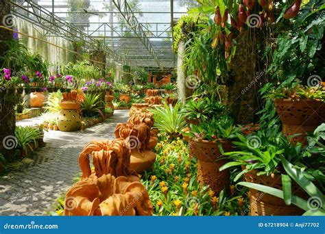 Orangery with Plants and Flowers Stock Photo - Image of gardens, building: 67218904