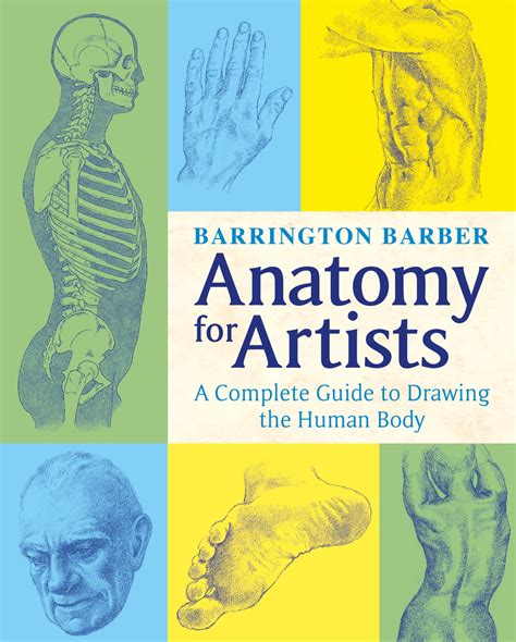 Anatomy for Artists eBook by Barrington Barber - EPUB | Rakuten Kobo United States