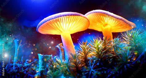 Mushroom. Fantasy glowing mushrooms in mystery dark forest closeup Stock Photo | Adobe Stock