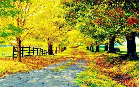 HD Bright Autumn Country Road Wallpaper | Download Free - 98883