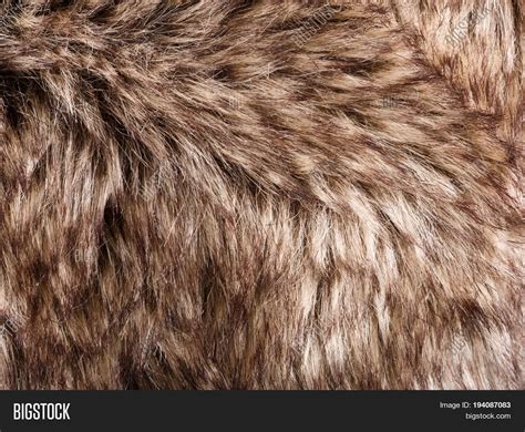 Texture Fur. Red Brown Image & Photo (Free Trial) | Bigstock