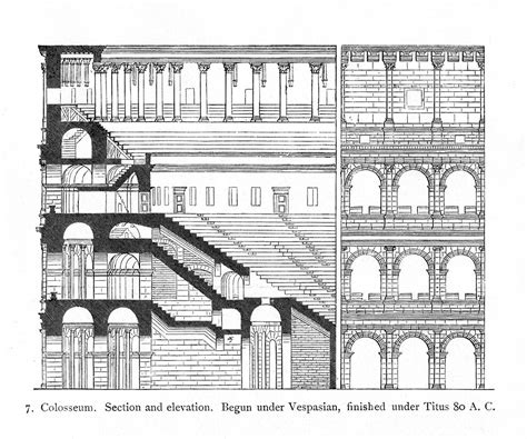 Colosseum: reconstruction section and elevation | Title: Col… | Flickr