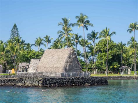 Discover Kona: A Guide to Unforgettable Experiences | Wavecrea