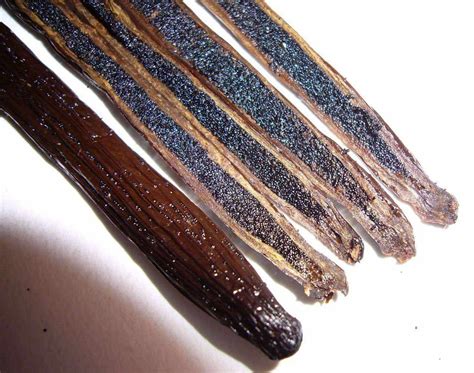 Gourmet Madagascar Vanilla Beans, Bourbon Vanilla Planifolia – Vanilla Bean Kings