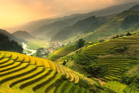 Premium Photo | Terraced rice paddy field landscape of northern vietnam