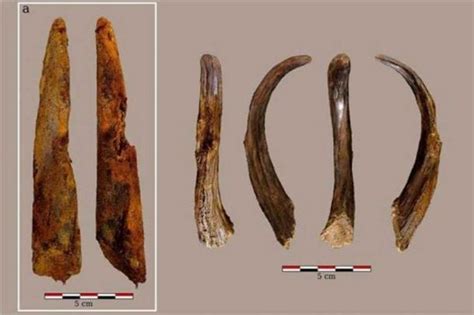 Oldest Neanderthal Wooden Tools Found in Spain Were Made 90,000 Years ...