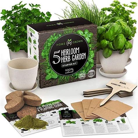 Amazon.com : Indoor Herb Garden Starter Kit - 5 Herb Seeds Gardening Kit with Ba...#amazoncom # ...