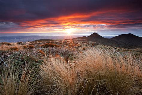 A Guide to Dynamic Landscape Photography