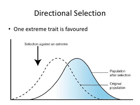 What are some examples of directional selection? | Socratic