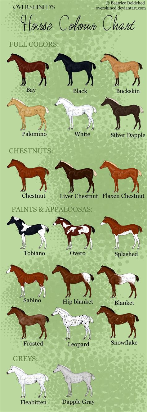 Horse Colour Chart | Horse color chart, Horse breeds, Horse coloring