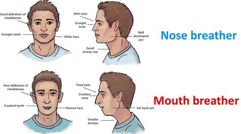 The CHAD nose breather VS The VIRGIN mouth breather 🤢 : r/shitposting