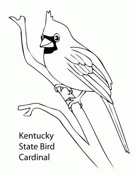 Montana State Bird Coloring Page