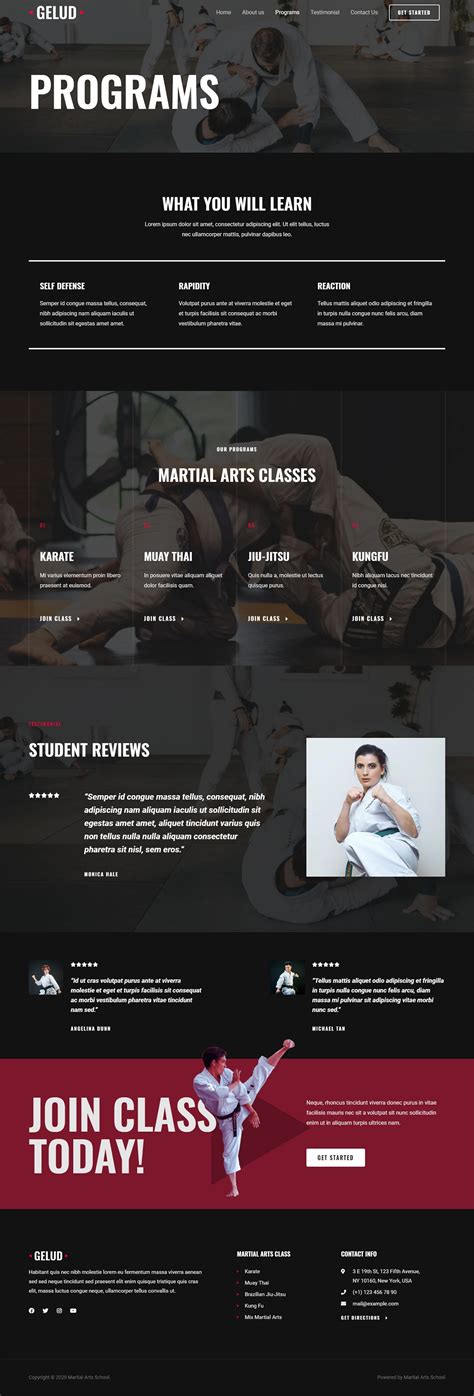 Martial Arts School – Inspiring template for martial arts school