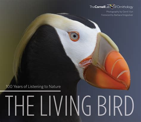 The 12 Best Bird Books of 2015 | Audubon