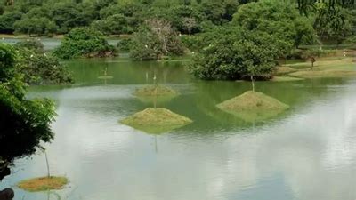 Encroaching temple impedes Otteri lake restoration work | Chennai News - Times of India