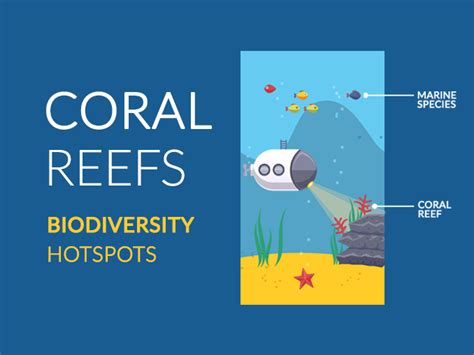 Coral Reef Facts: Ocean Biodiversity Hotspots - Earth How