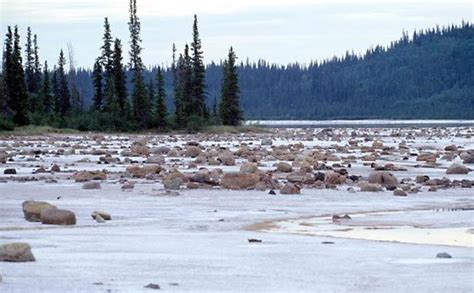 Wood Buffalo National Park | Location, Natural Features & Animals | Britannica