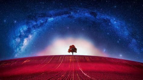 hill, tree, red tree, red field, night, starry night, field, 1080P, lone tree, night sky ...