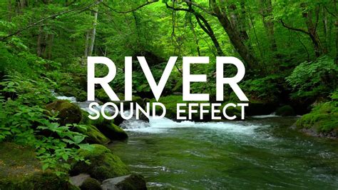 Relaxing River Sounds - Peaceful Forest River - 30 Minutes - YouTube