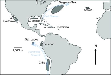 Map showing study locations, Gulf Stream, and Humboldt Current. | Download Scientific Diagram