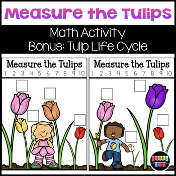 Measure the Tulips Math Activity & Tulip Life Cycle by Turner Tots