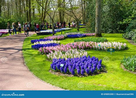 The Keukenhof Flower Garden Editorial Image - Image of grow, garden: 69885300