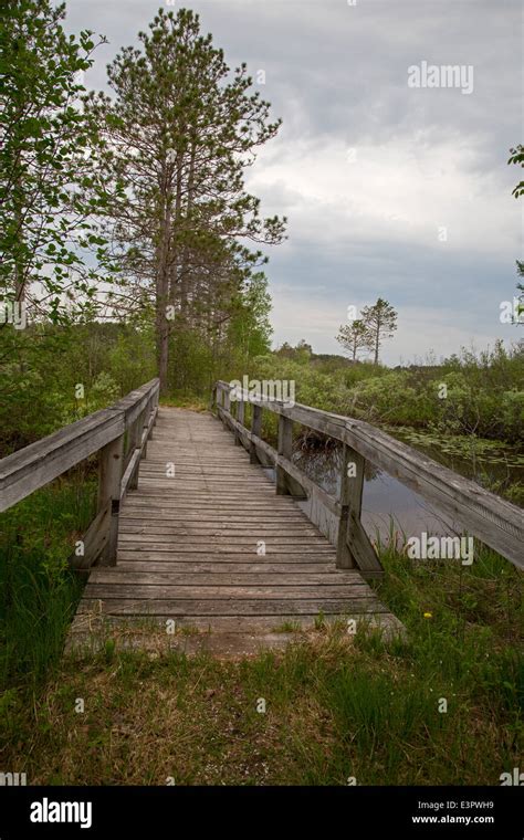 Seney, Michigan - A hiking trail in Seney National Wildlife Refuge ...