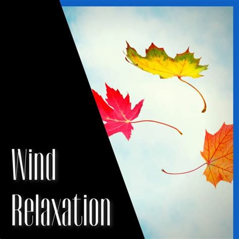 Stream Wind Relaxation, Positive Vibes by ASMR Wind Channel | Listen ...