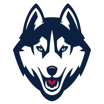 UConn Huskies Stats & Leaders - Women's College Basketball | FOX Sports