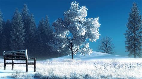 Winter Tree Anime Wallpapers - Wallpaper Cave