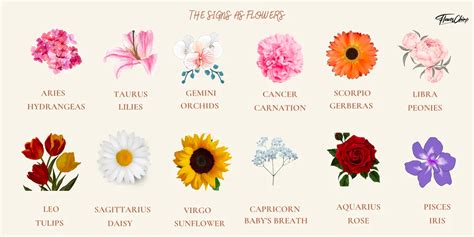 Zodiac Flowers: A Guide To Star Sign Flowers – Bloombar Flowers Taurus And Cancer, Sagittarius ...