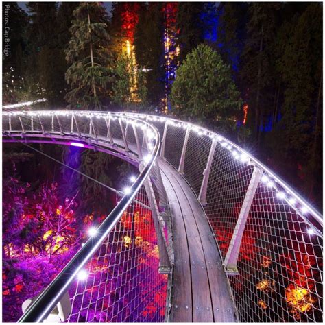 Love Lights at Capilano Suspension Bridge Park