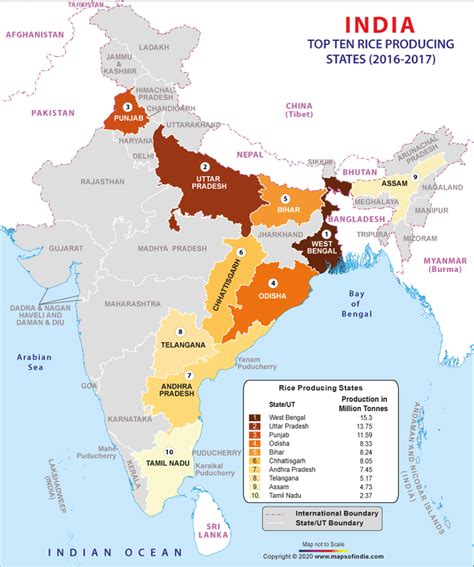 Rice Cultivation In India Map - Gillie Donnamarie