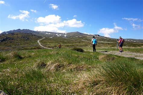 Explore the amazing National Park Vitosha – Madame Bulgaria