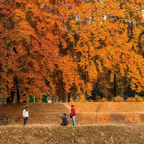 Autumn in Kashmir | National geographic, Shot photo, National geographic photos