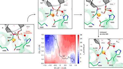 Catalytic mechanism of DNA cleavage in the HNH domain of... | Download Scientific Diagram