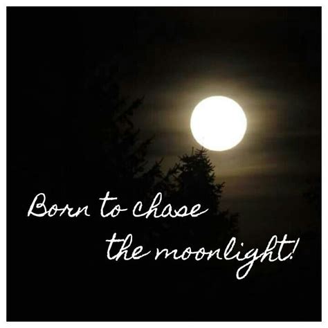 Moonlight Quotes - ShortQuotes.cc