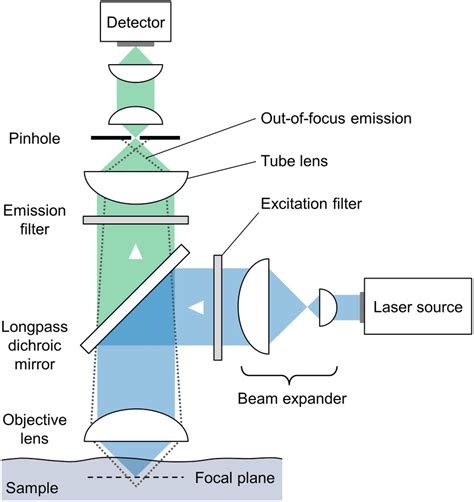 11: Schematic depiction of a typical confocal microscope. | Download ...