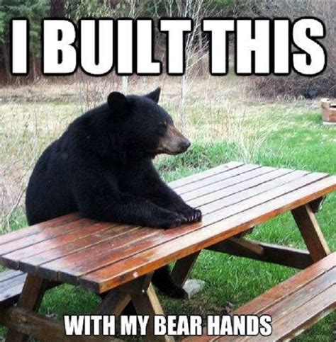 I'll be using this for my pun board | A Punful World | Funny bears ...