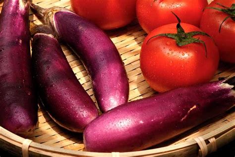 21 of the Best Japanese Eggplant Varieties | Gardener’s Path