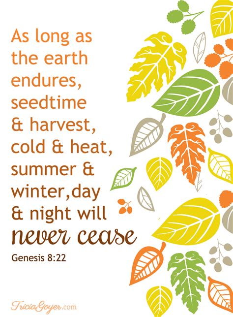 The Promise of Seasons | Genesis 8:22 - Tricia Goyer